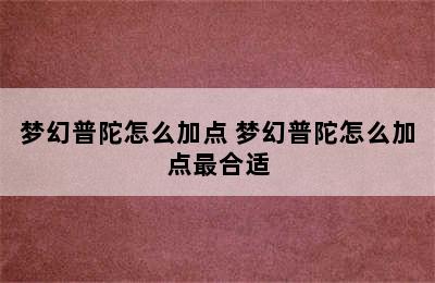 梦幻普陀怎么加点 梦幻普陀怎么加点最合适